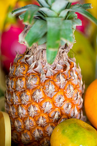 成熟的天然菠萝特缝合垂直照片图片