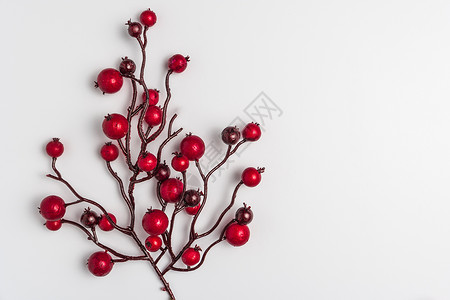 十月一边框红色的莓胡利在白色红的圣诞节装饰品框圣诞节的图像带有复制空间的顶端视图背景