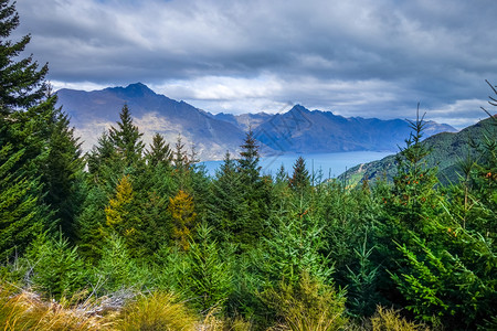 新西兰瓦卡提普湖和山林全景瓦卡提普湖和山林图片