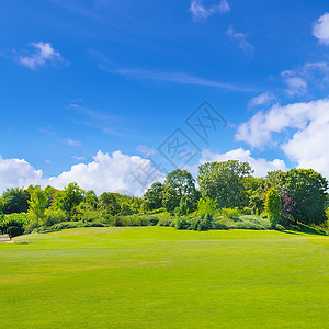 在蓝天的光云下有灌木和树的夏日自然公园广阔的绿草地背景图片