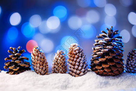 雪的圣诞节背景有卷和松锥雪的圣诞节背景有卷和松锥图片