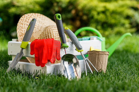 园艺工具和花草地上的帽高清图片