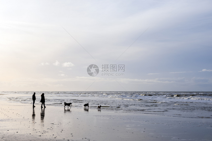 冬日人们和狗在北荷兰部杜特奇省的北海滨上漫步图片