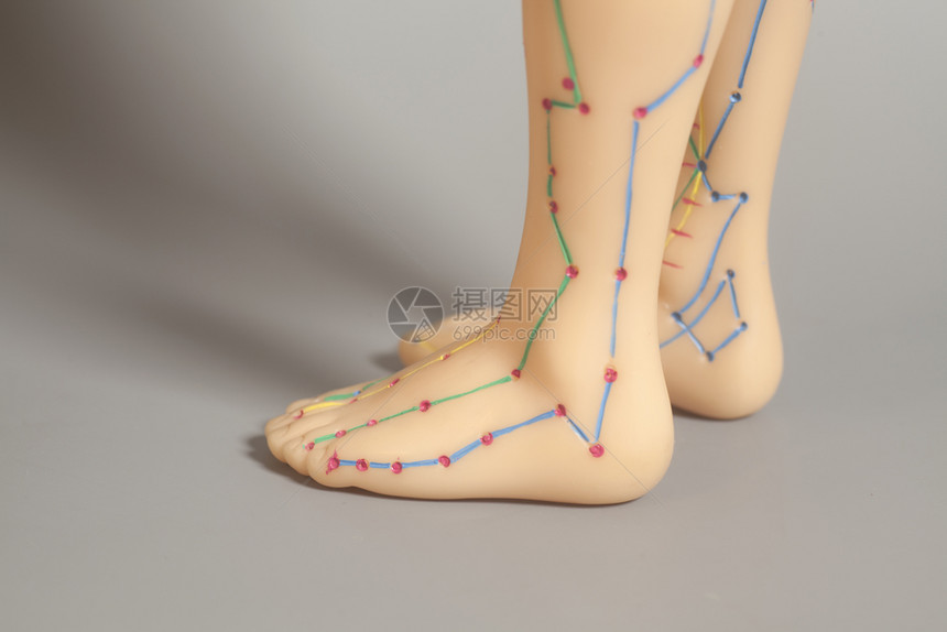 灰色本底人类脚的医学针孔穿模型图片