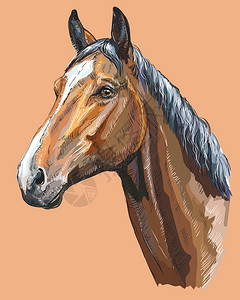 美女牵马三角马的彩色画像马头设计图片