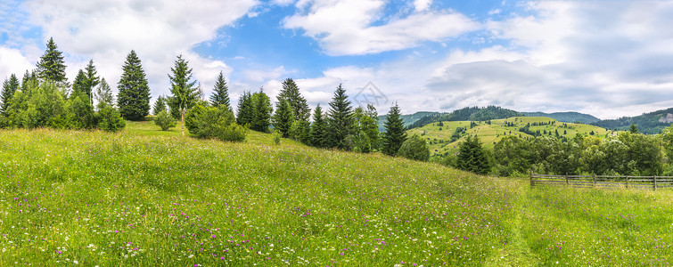 美丽的春全景充满了多彩的田野花朵一条足迹和连串绿树靠近罗马尼亚的萨多瓦镇背景图片