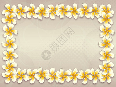 白色梅花抽象背景的fragipn花架图片