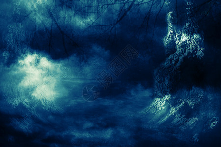 夜幕下万圣节雾中树林诡异幻想高清图片素材