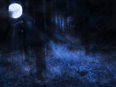 暗的神秘雾森林和满月背景图片