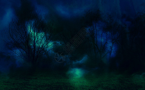 黑暗中树林的夜幕神秘风景图片