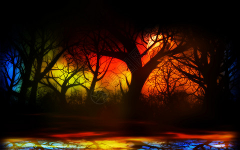 深暗的雾林树影图示幻想高清图片素材