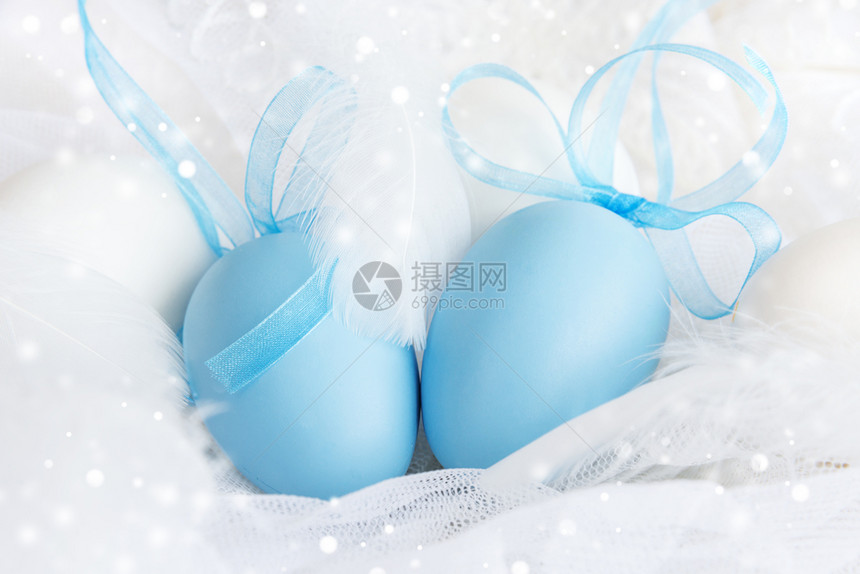 带蓝丝的色东蛋环绕着白色东鸡蛋和带背景的长毛羽图片