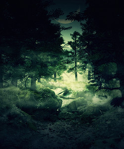 绿雾薄森林神秘的风景背蓝色高清图片素材