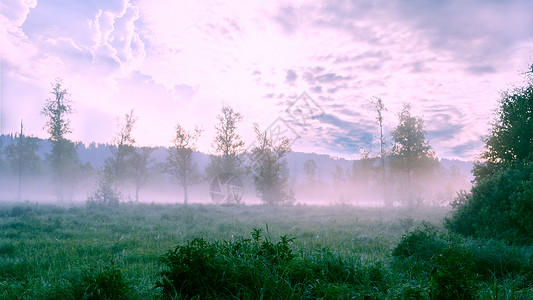 美丽的风景有黎明雾和晨露背景图片