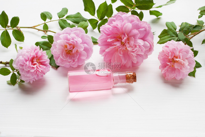 香气治疗用必需的玫瑰油瓶白香气治疗用必需的玫瑰油瓶图片