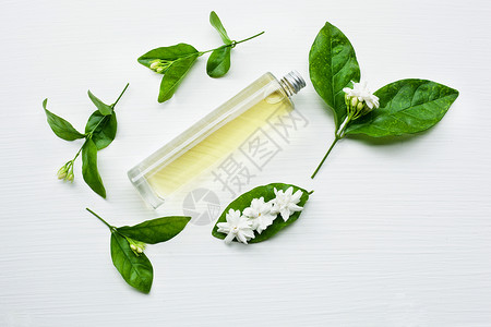 含茉莉花的基本油白色背景的茉莉花图片