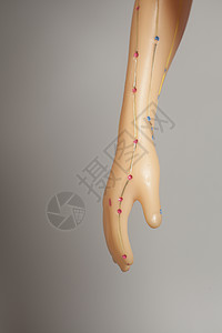 灰色本底的人体手医学针刺模型图片