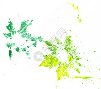 叶的印记叶的艺术印记绿色和黄的古阿希画图片