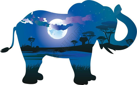 大草原之王大象轮廓非洲之夜插画