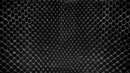 黑色蛇皮背景的斜纹质图片