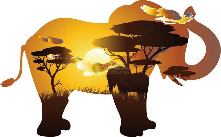 非洲日落大象剪影插画图片