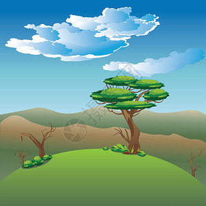 非洲热带草原景观说明非洲热带草原自然与树木背景图片