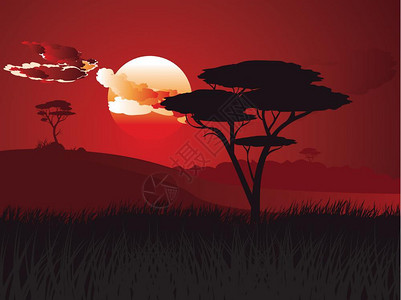 非洲日落风景图片