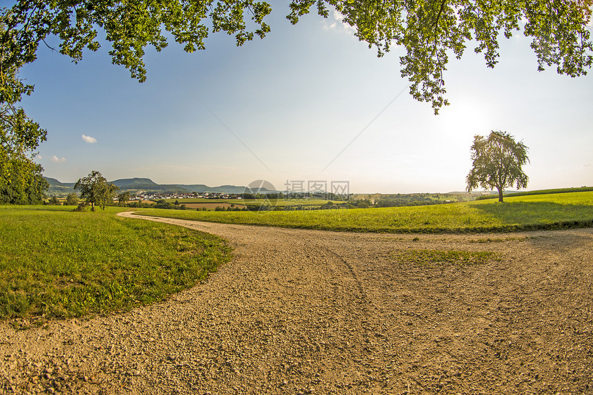 草地树和望向德国高地的图片