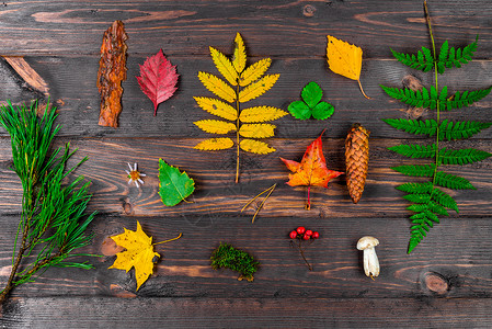 木制桌板上成的秋叶锥子蘑菇和浆果森林植物最高视图背景图片