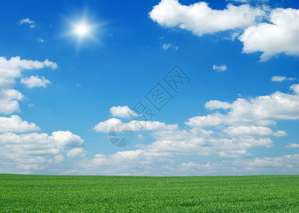 绿地蓝天空和太阳图片