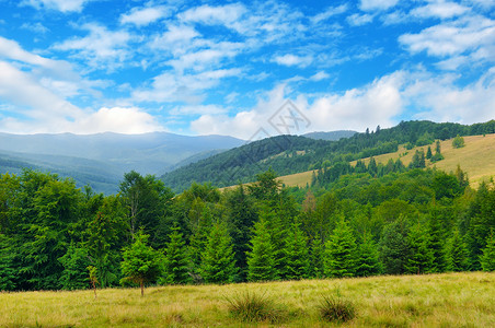 山坡隐形树和天空中的云层美景和丽的象位置是喀尔巴阡乌黑欧洲概念生态保护探索世界和美观背景图片