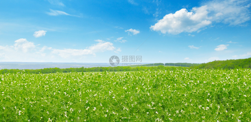 绿色地和蓝天空有光云农业景观宽广的照片图片