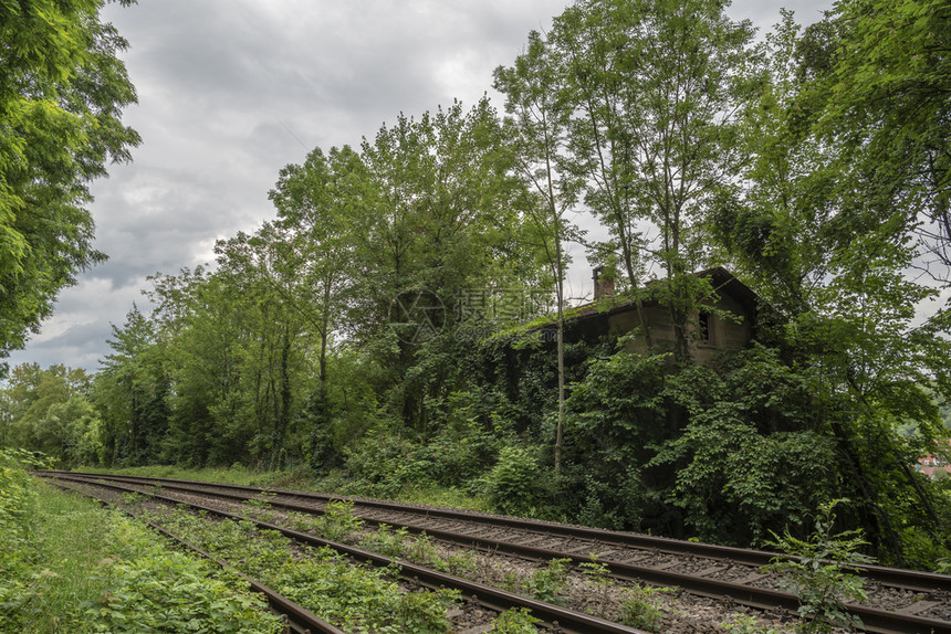 在森林中一条铁路附近被自然所取代植覆盖的房屋独自一人留在森林中图片