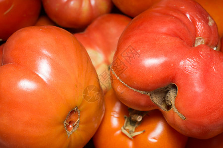一组新鲜成熟的红番茄关闭背景食物高清图片素材