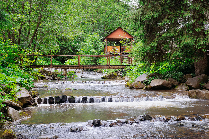 山河茂密的植被和娱乐区有一座桥和瞪羚位置是喀尔巴阡乌黑欧洲生态保护概念图片