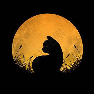 猫坐在草地上满月背景矢量插图设计图片