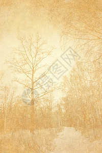 有树背景的古老黄纸背景图片