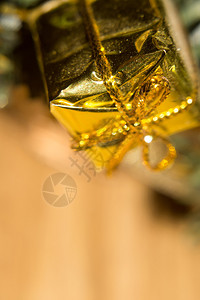 圣诞装饰金礼物盒玩具在树枝上图片