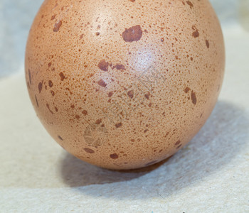 鸡蛋上的斑点图片