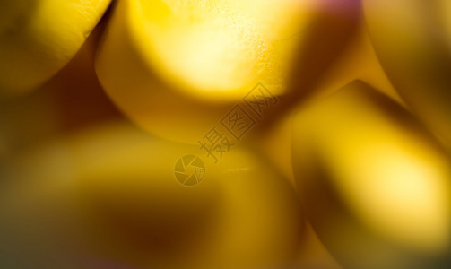 黄色药丸的宏观抽象分散焦点图片