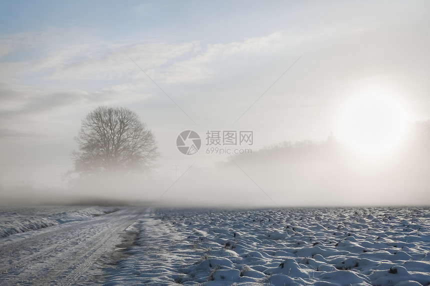 一片雪地的乡村道路和覆盖的田野图片