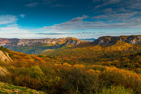 秋里的风景山上的森林图片