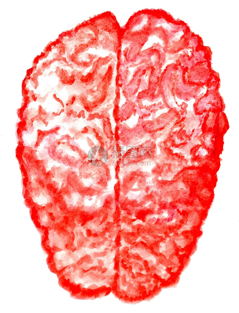 人工画出以水彩的人类大脑图解图片