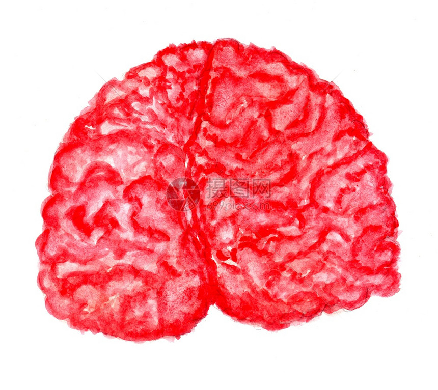人工画出以水彩的人类大脑图解图片