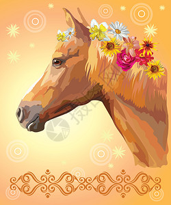 美女牵马矢量多彩的插图在橙色梯度背景上隔绝装饰品和圆圈的花棚中用不同朵绘制的栗子马肖像艺术和设计图像设计图片