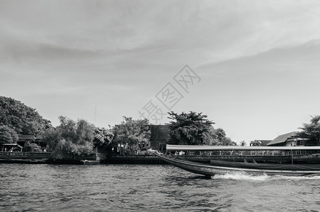 2013年4月日Bangko泰河木头长尾船经ChaoMyr河穿过果园图片