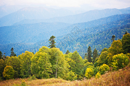 秋天的山丘景貌图片