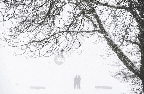 严寒的冬季风景有两个人在公园的轮廓下雪和暴风被一棵无叶大树背景图片