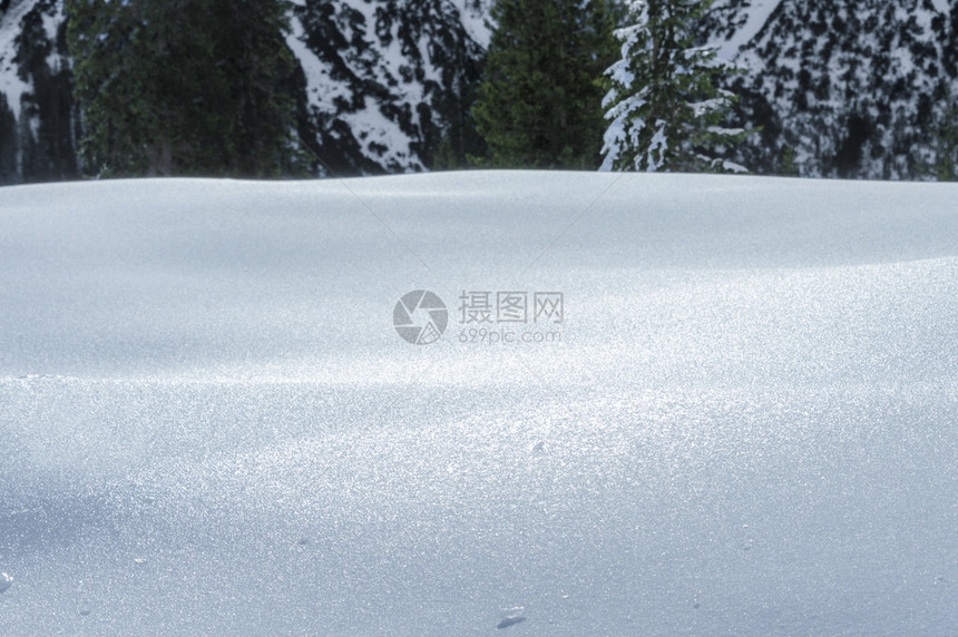厚的雪层和冰森林树木在背景阿尔卑斯山脉在阳光明媚的十二月日在厄尔瓦德奥斯特里亚图片