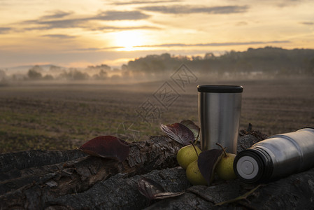 秋天早上的咖啡在热水池里户外在一堆木上周围有几颗梨子和落叶还有雾的日出乡村的高清图片素材
